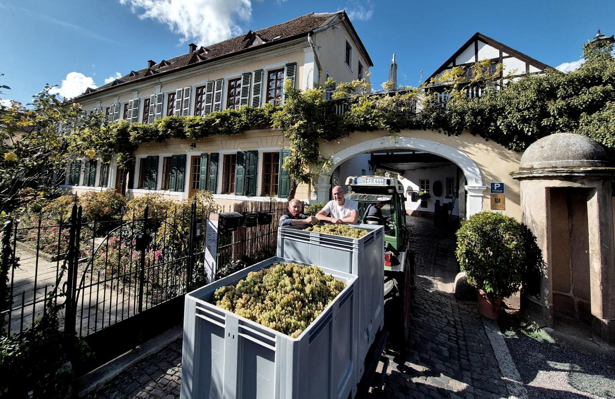 Unterkunft Im Weingut Fitz-Ritter Bad Duerkheim Luaran gambar